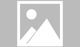 大连飞机场爆料事件最新,揭秘机场内部惊人真相