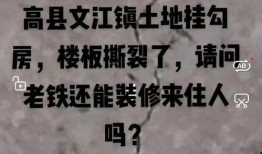 汝州刘先生最新爆料,最新爆料事件背后的惊人真相