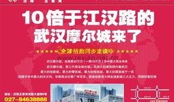 摩尔最新爆料新闻报道,揭秘事件背后惊人真相