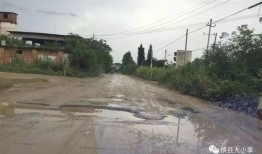 刁镇最新爆料,揭秘背后惊人真相！”